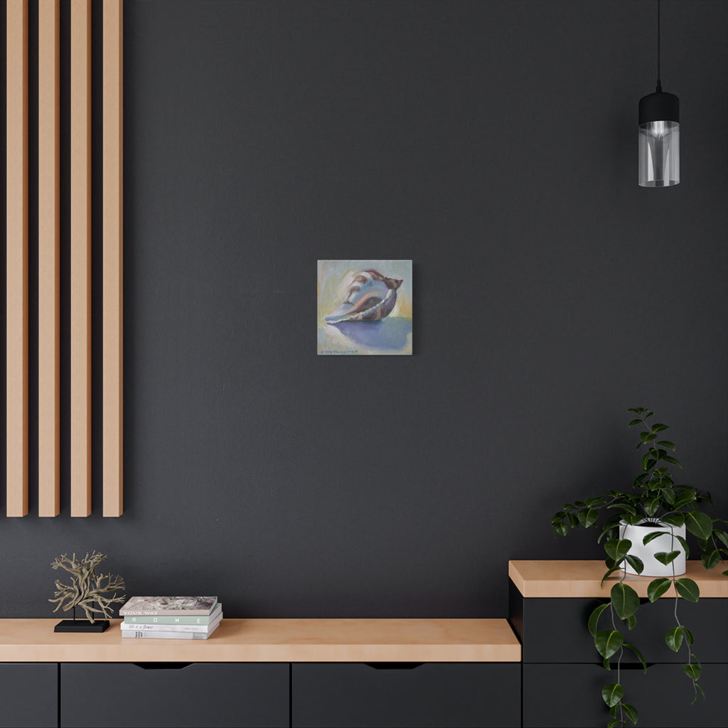 "The Seashell"  Seashell Oil Painting Canvas Print — Coastal Conch Wall Art (Matte Stretched 1.25")