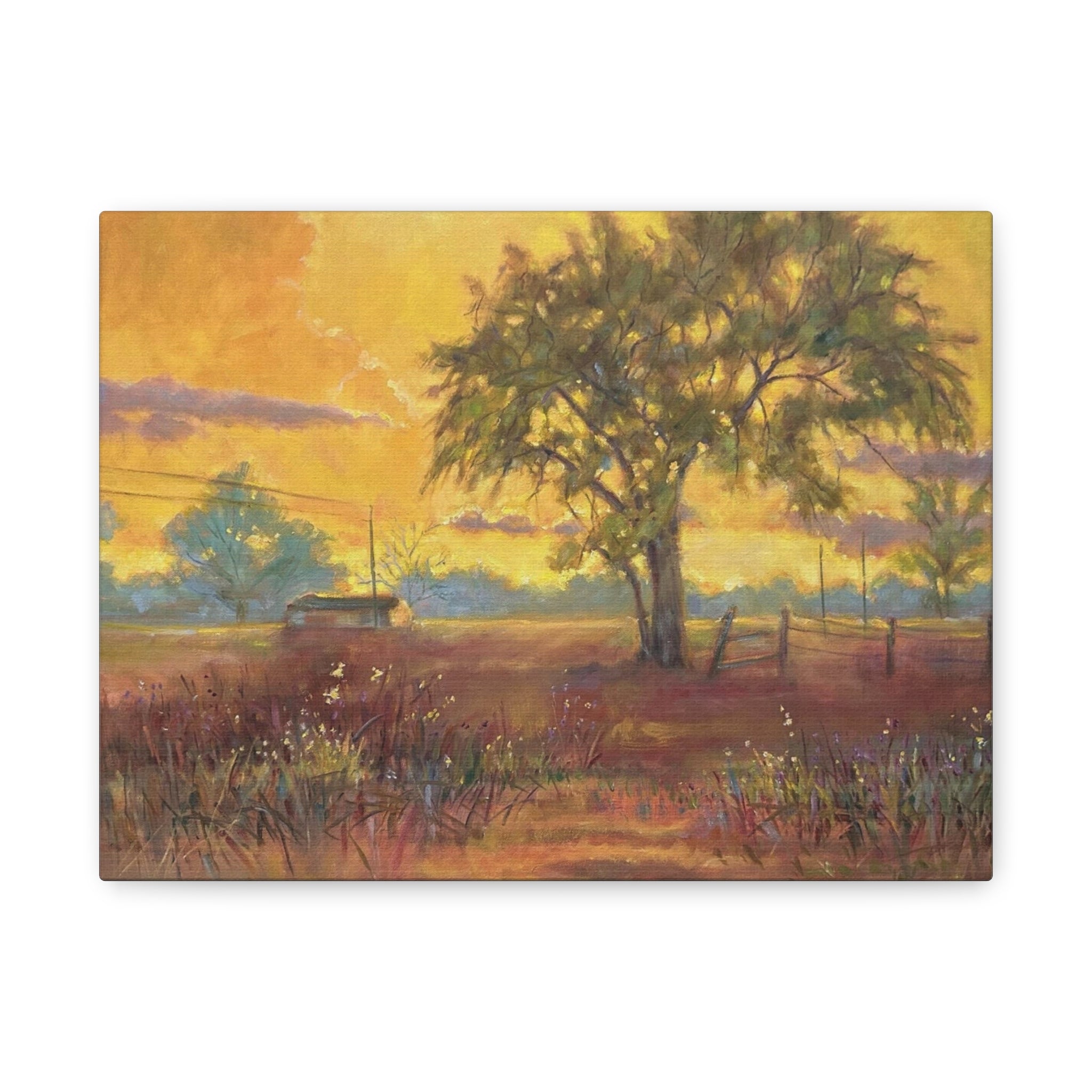 "One Golden Evening"   Sunlit Country Landscape Canvas Print — Stretched Matte Wall Art