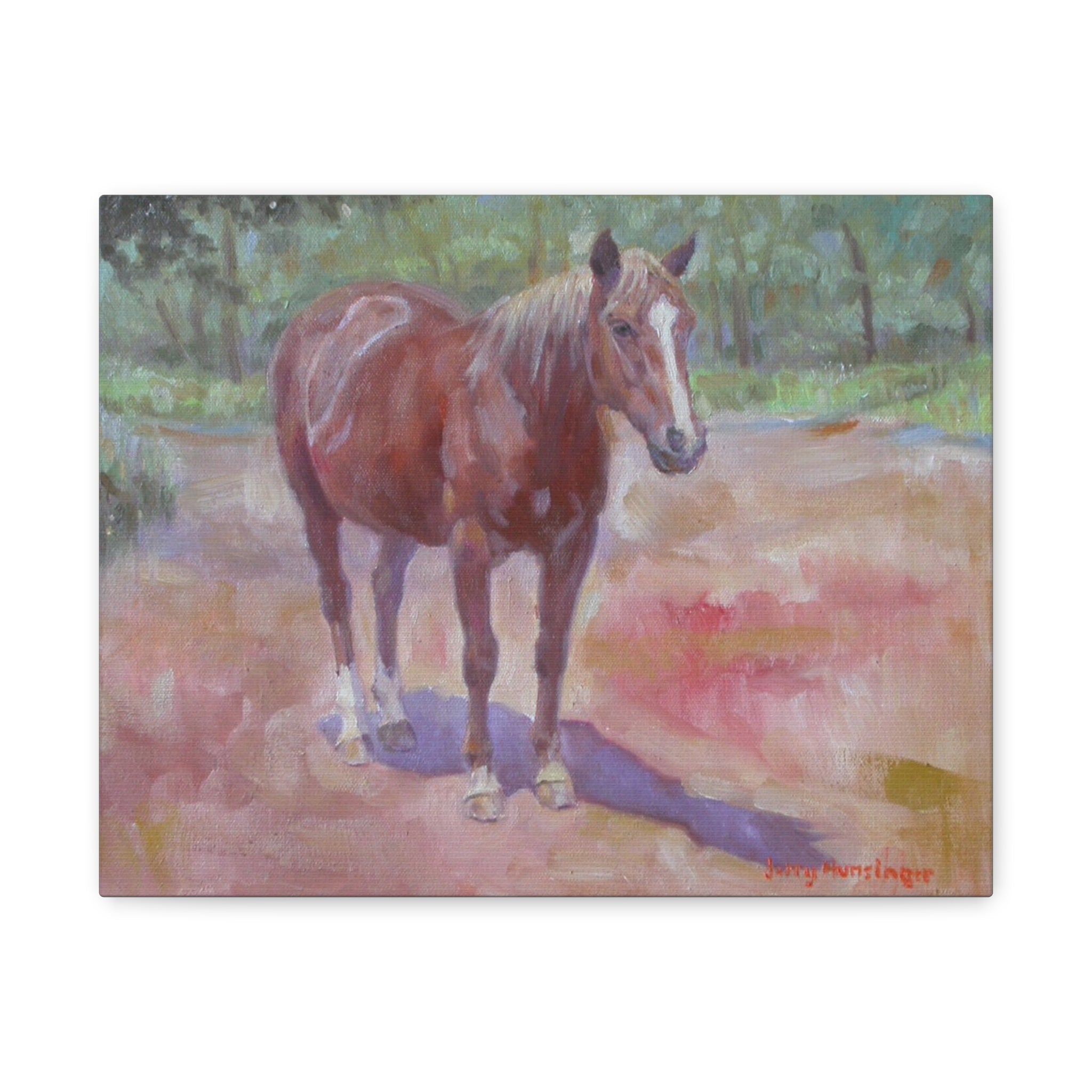"Afternoon Sun"     Chestnut Horse Matte Canvas Print — Stretched 1.25" Wall Art