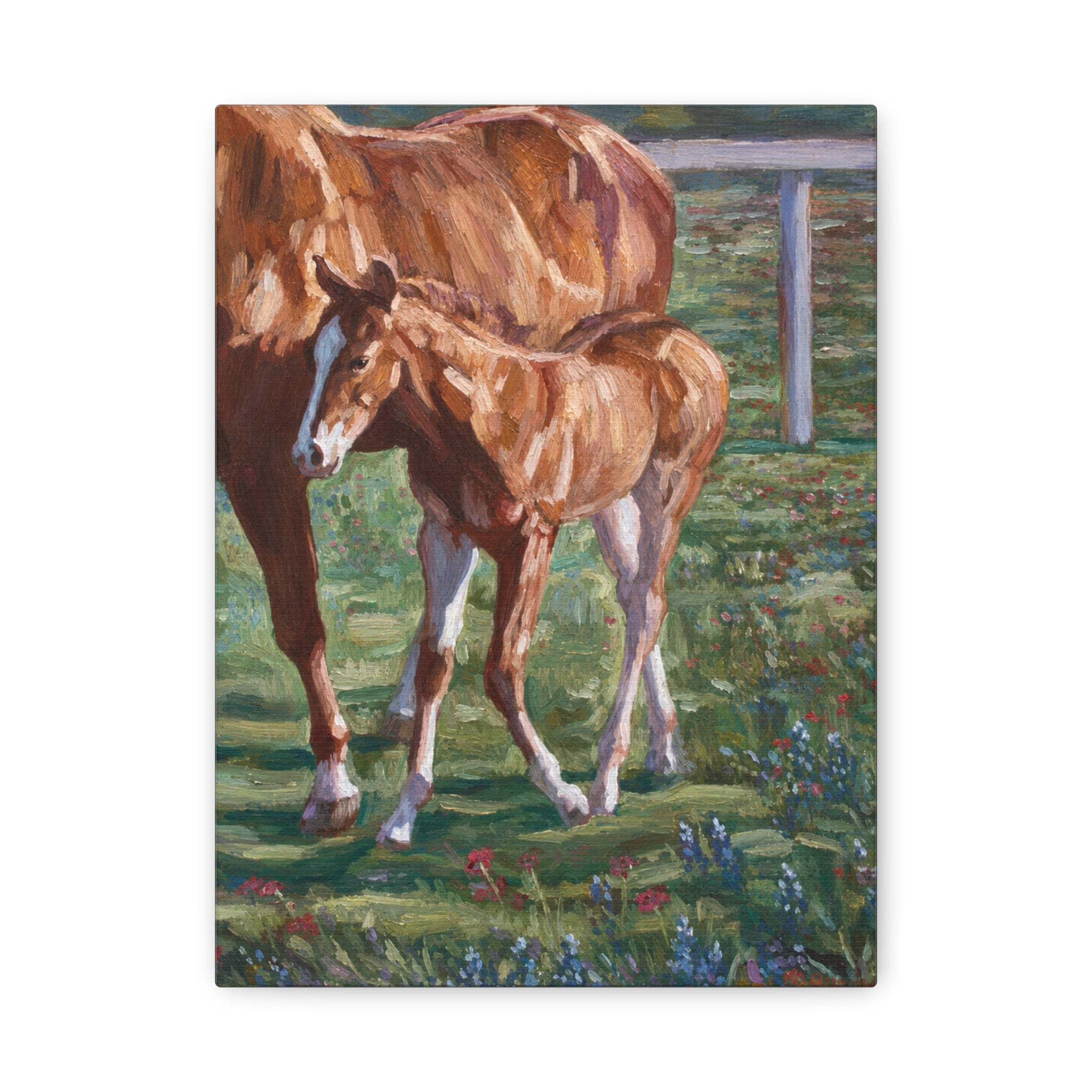 "Amongst the Bluebonnets"  Horse & Foal Canvas Print — Pastoral Equestrian Wall Art