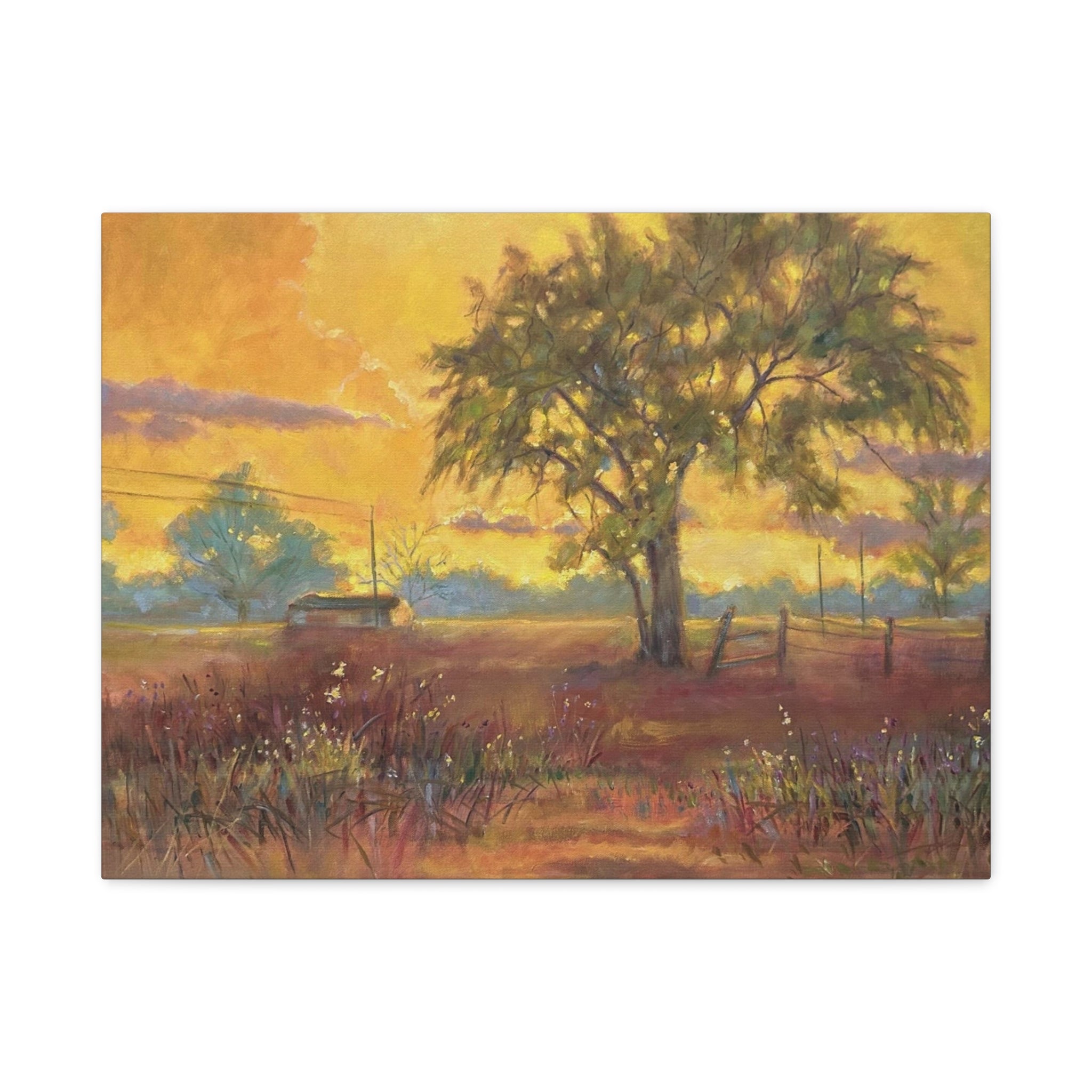 "One Golden Evening"   Sunlit Country Landscape Canvas Print — Stretched Matte Wall Art