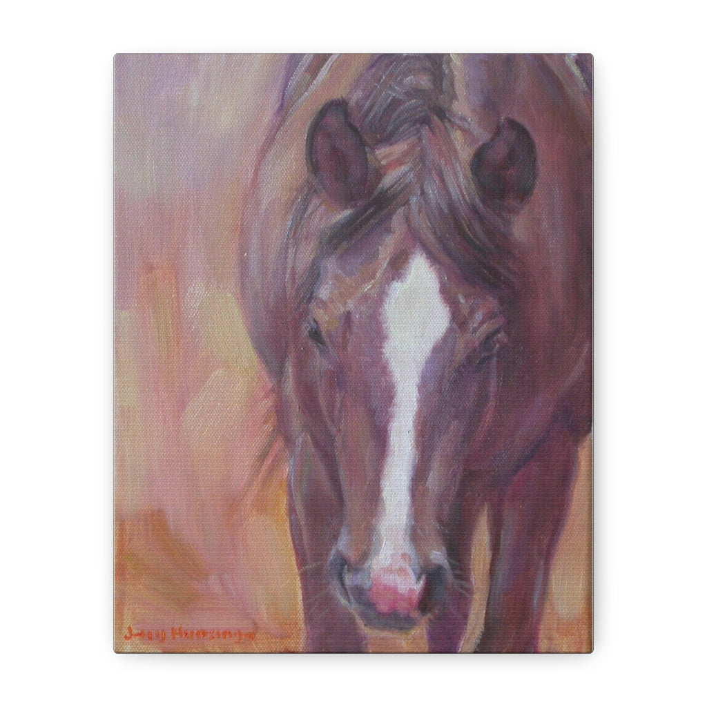 A Horse Named Daisy