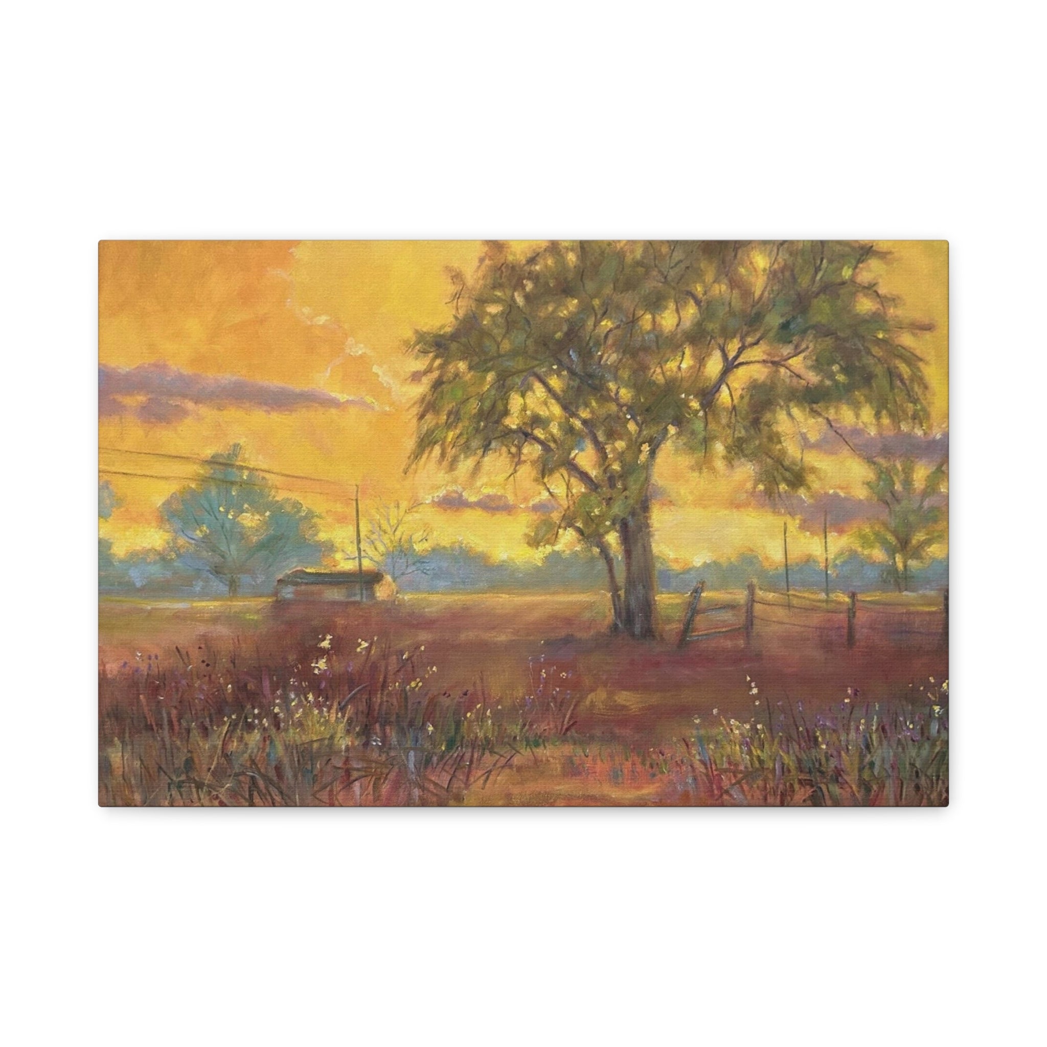 "One Golden Evening"   Sunlit Country Landscape Canvas Print — Stretched Matte Wall Art