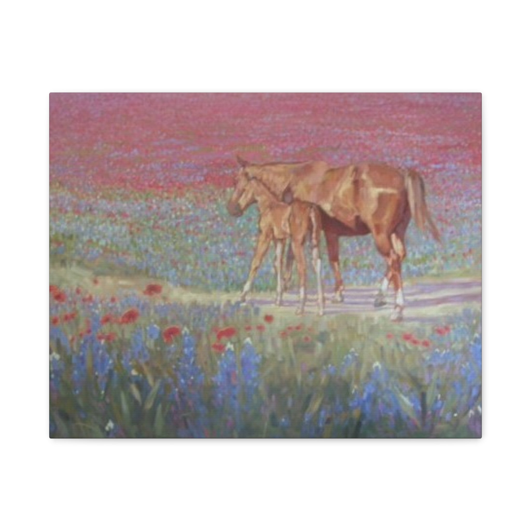 "Red Horses and Blue Bonnets"