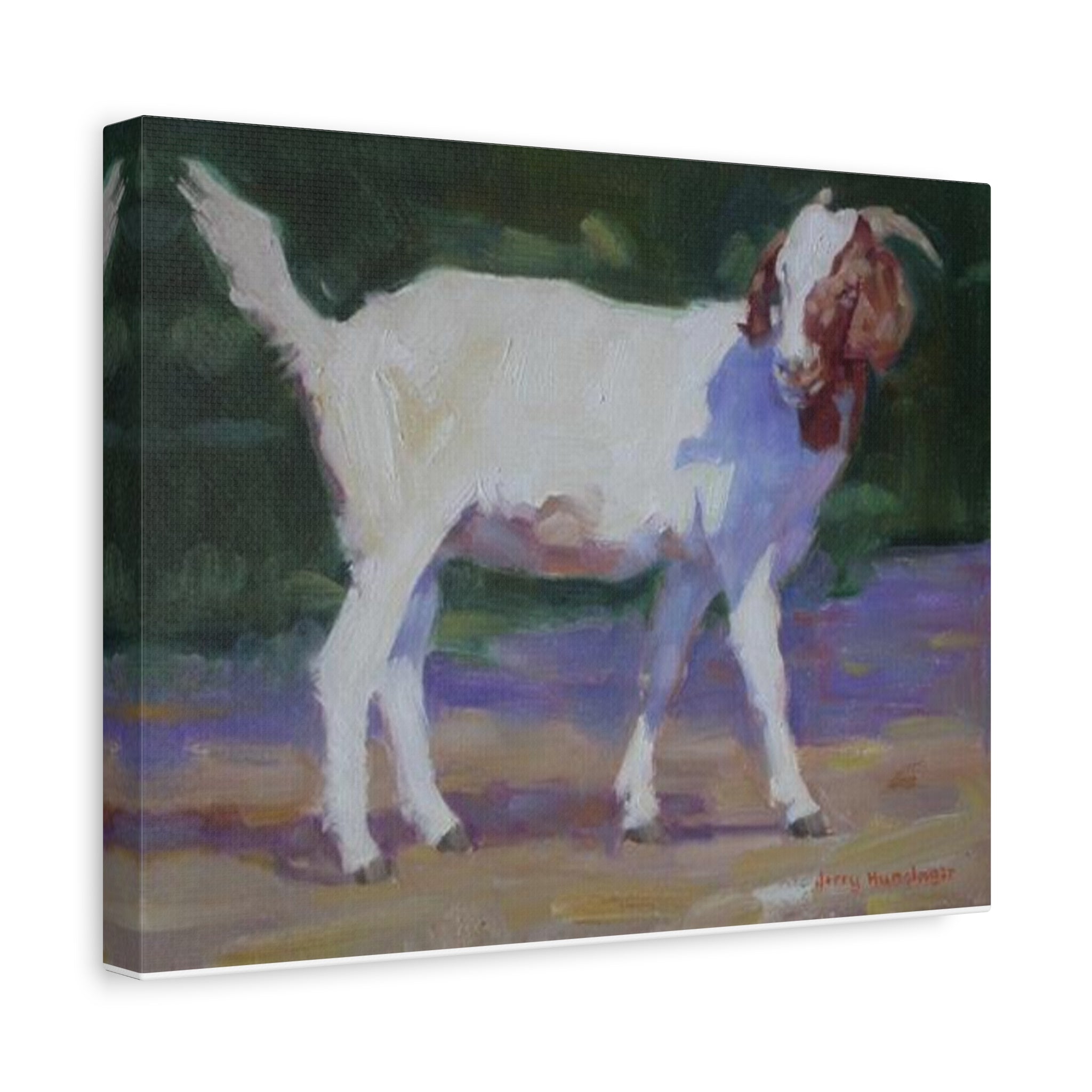 "A Goat With Grace"  White Goat Oil Painting Print on Stretched Canvas – Farmhouse Animal Wall Art