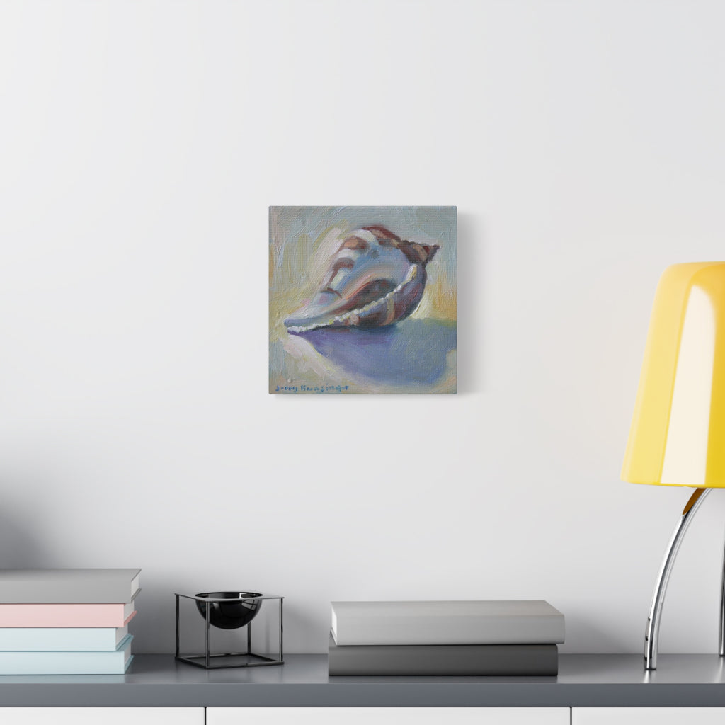 "The Seashell"  Seashell Oil Painting Canvas Print — Coastal Conch Wall Art (Matte Stretched 1.25")