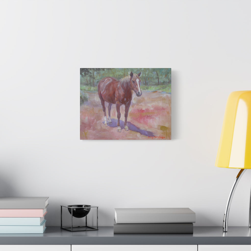 "Afternoon Sun"     Chestnut Horse Matte Canvas Print — Stretched 1.25" Wall Art