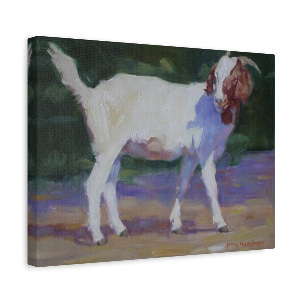 "A Goat With Grace"  White Goat Oil Painting Print on Stretched Canvas – Farmhouse Animal Wall Art