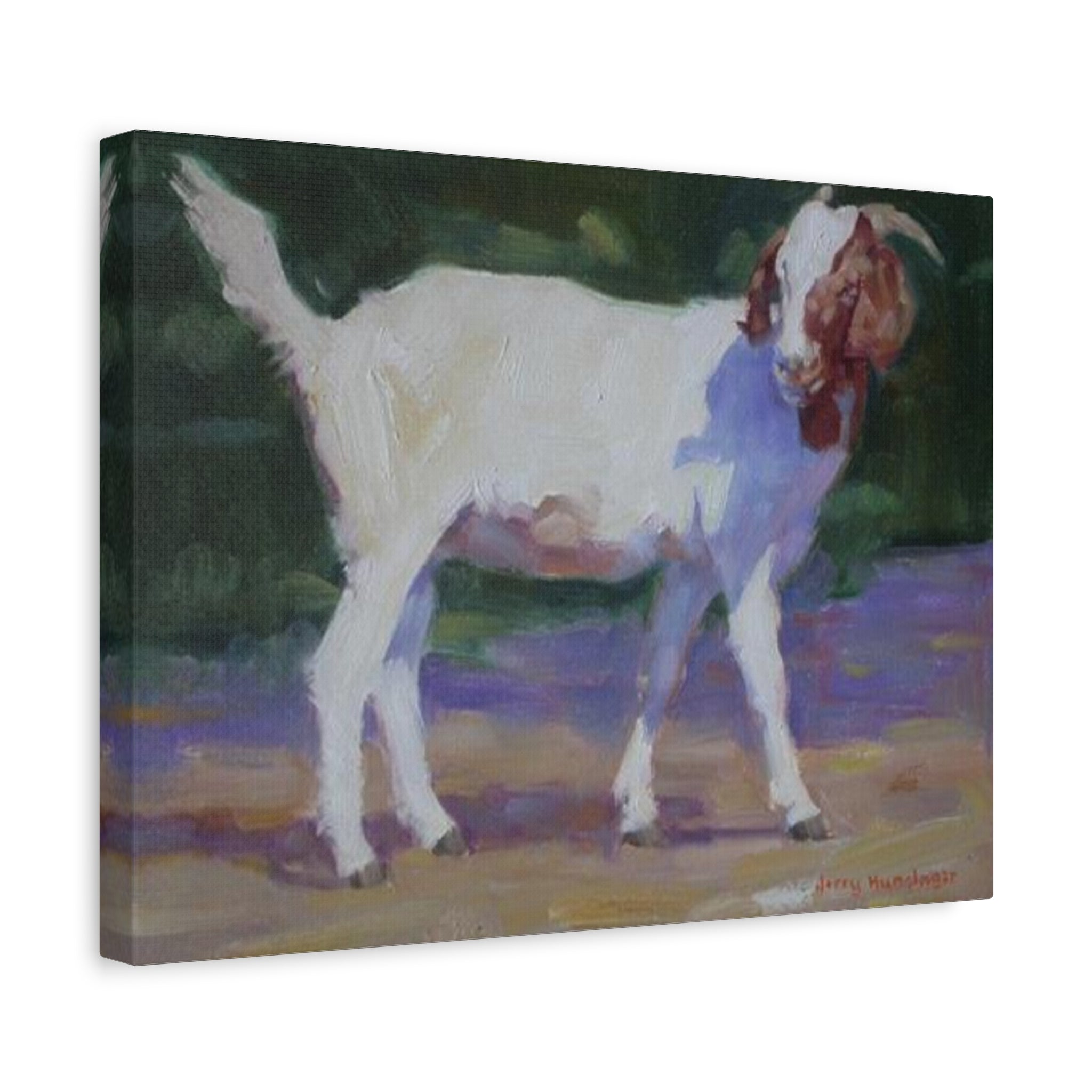 "A Goat With Grace"  White Goat Oil Painting Print on Stretched Canvas – Farmhouse Animal Wall Art