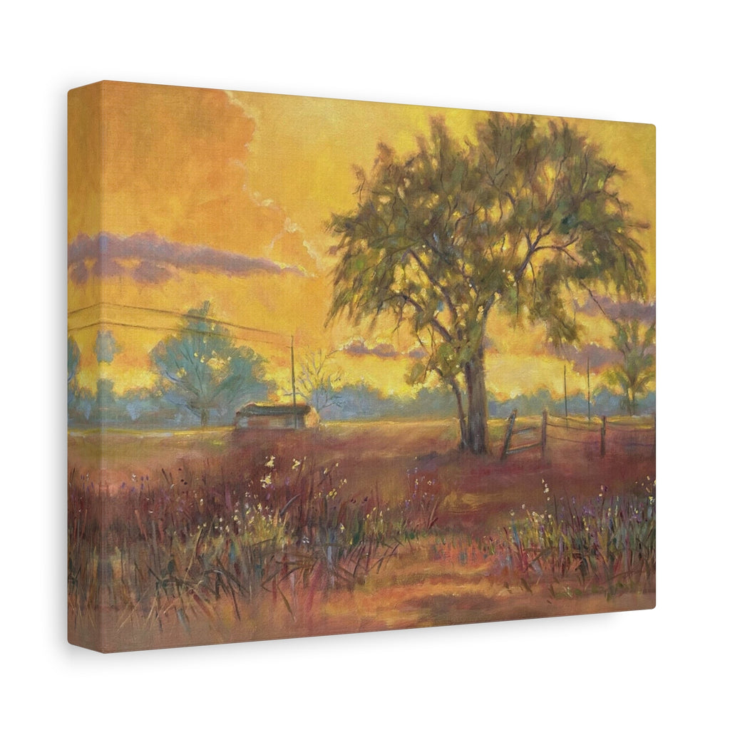 "One Golden Evening"   Sunlit Country Landscape Canvas Print — Stretched Matte Wall Art