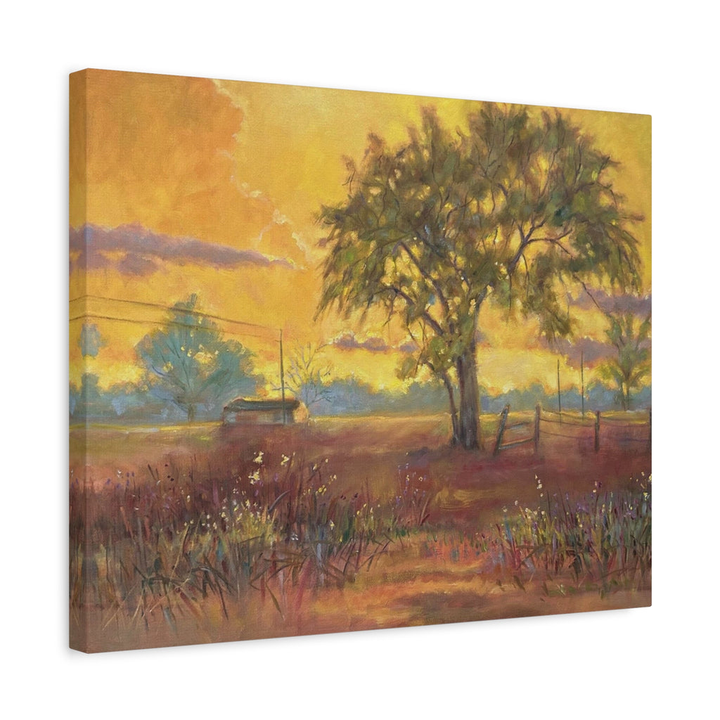 "One Golden Evening"   Sunlit Country Landscape Canvas Print — Stretched Matte Wall Art
