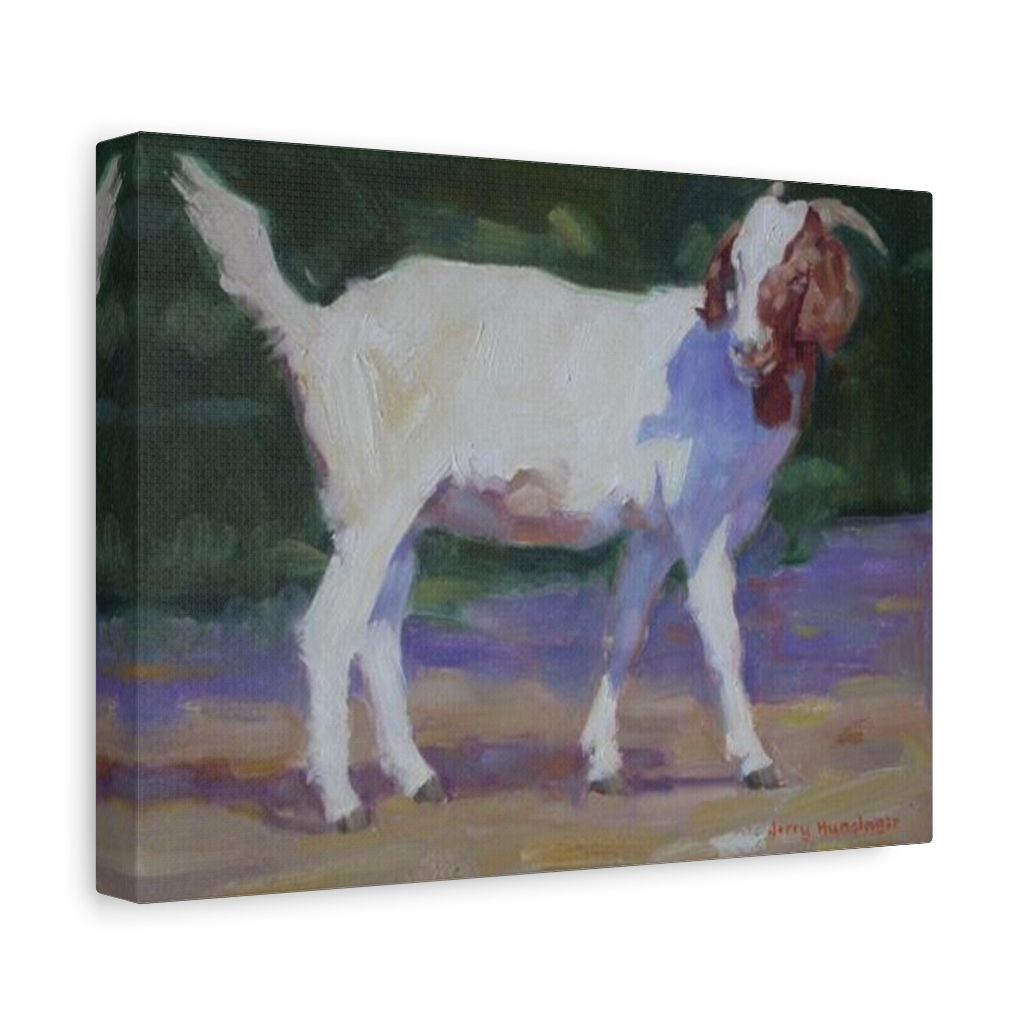 "A Goat With Grace"  White Goat Oil Painting Print on Stretched Canvas – Farmhouse Animal Wall Art