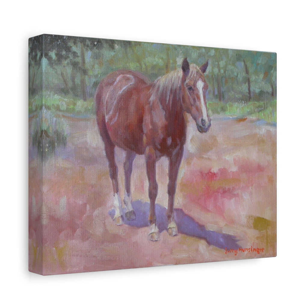 "Afternoon Sun"     Chestnut Horse Matte Canvas Print — Stretched 1.25" Wall Art