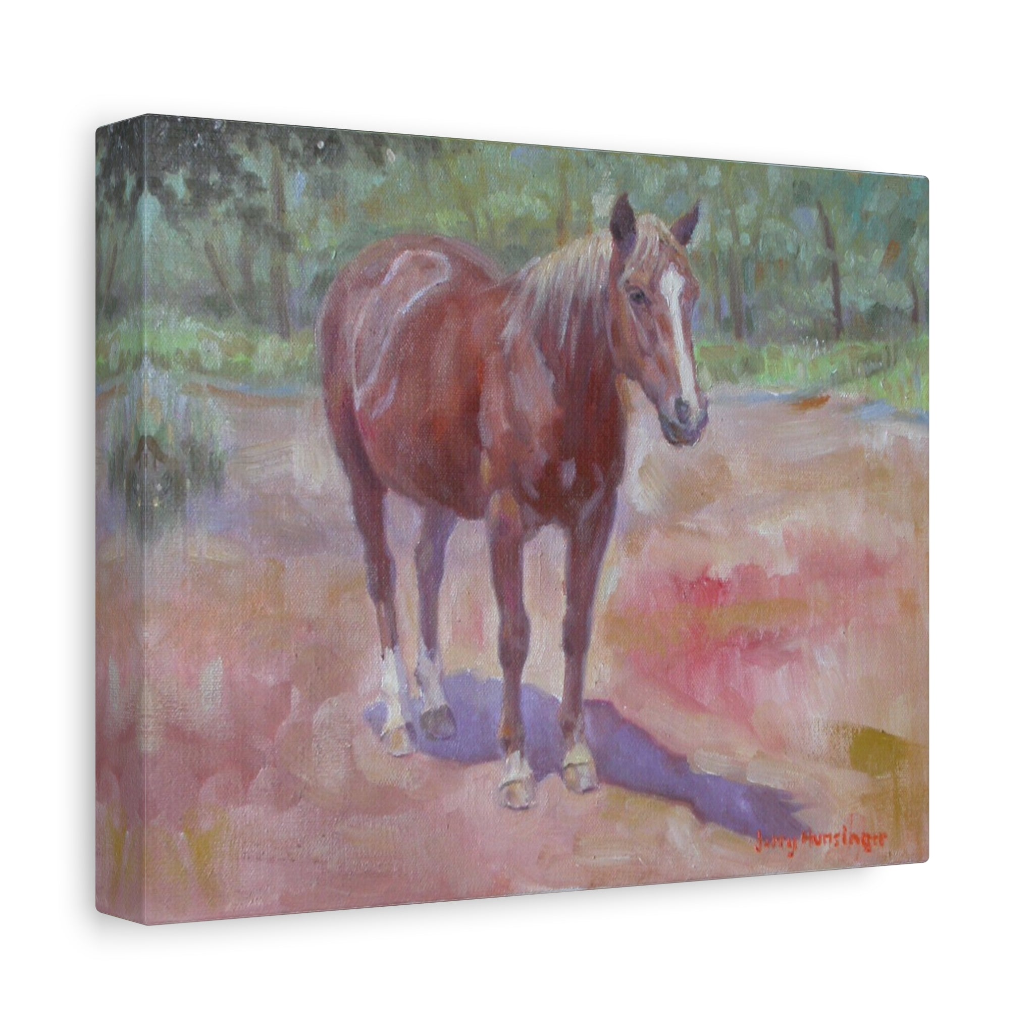 "Afternoon Sun"     Chestnut Horse Matte Canvas Print — Stretched 1.25" Wall Art