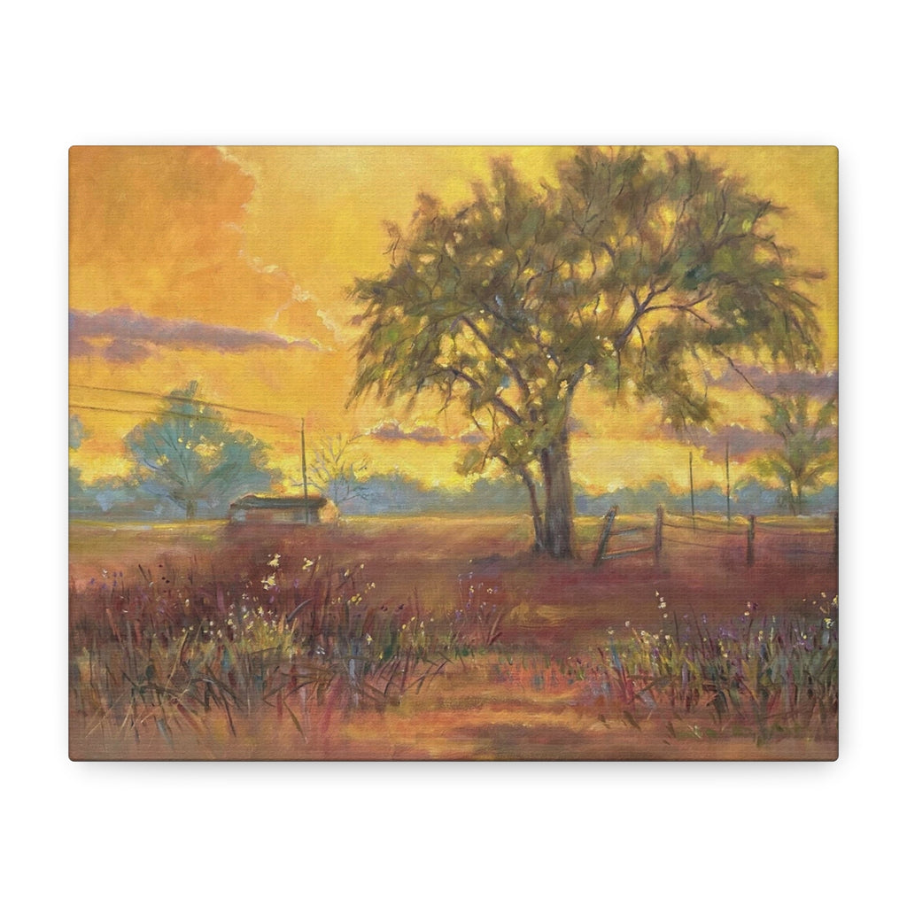"One Golden Evening"   Sunlit Country Landscape Canvas Print — Stretched Matte Wall Art