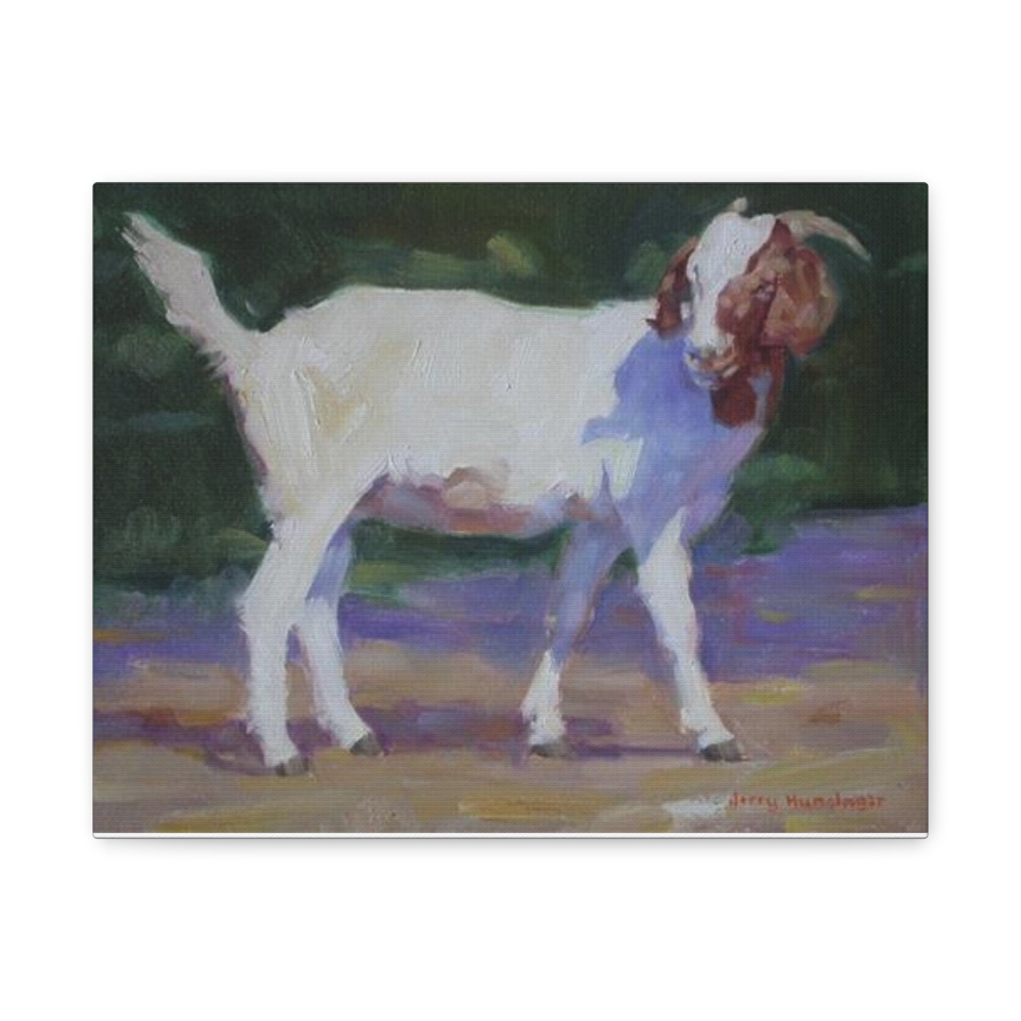 "A Goat With Grace"  White Goat Oil Painting Print on Stretched Canvas – Farmhouse Animal Wall Art