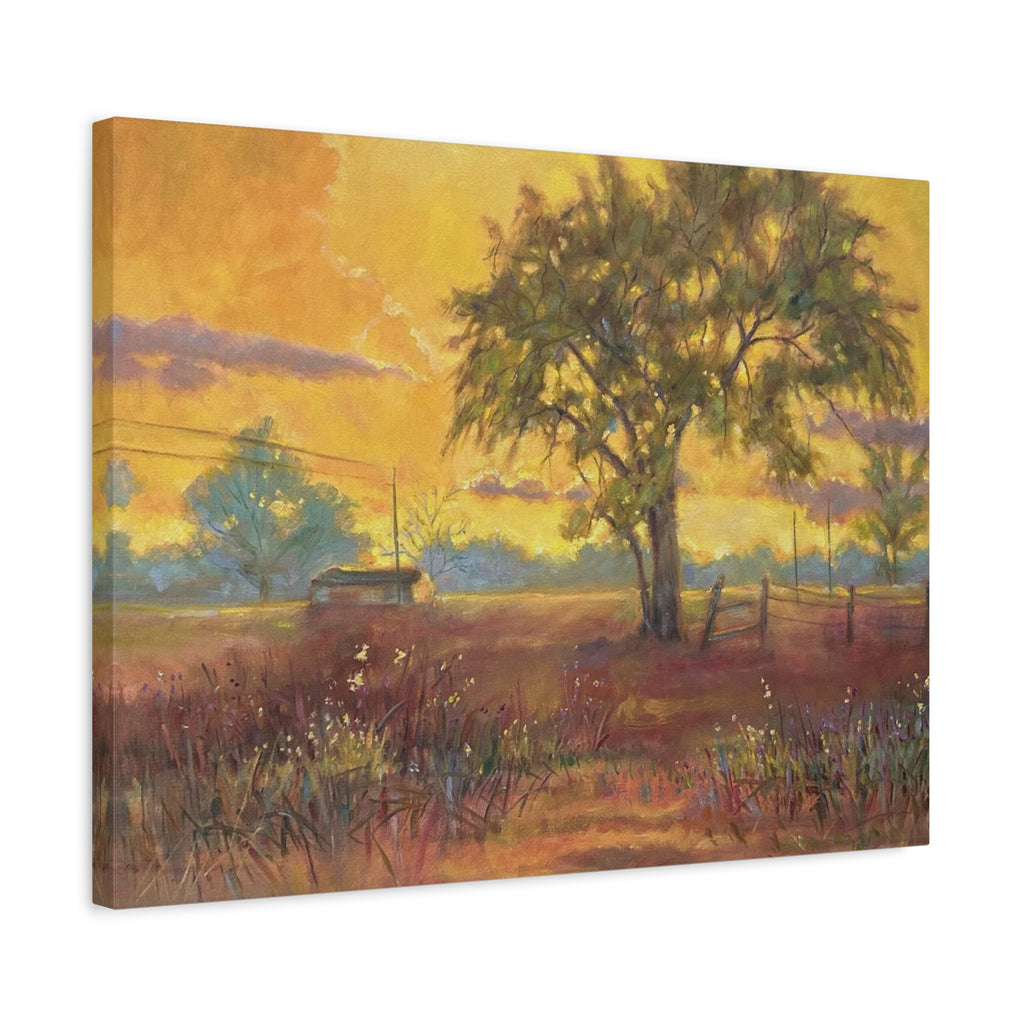 "One Golden Evening"   Sunlit Country Landscape Canvas Print — Stretched Matte Wall Art