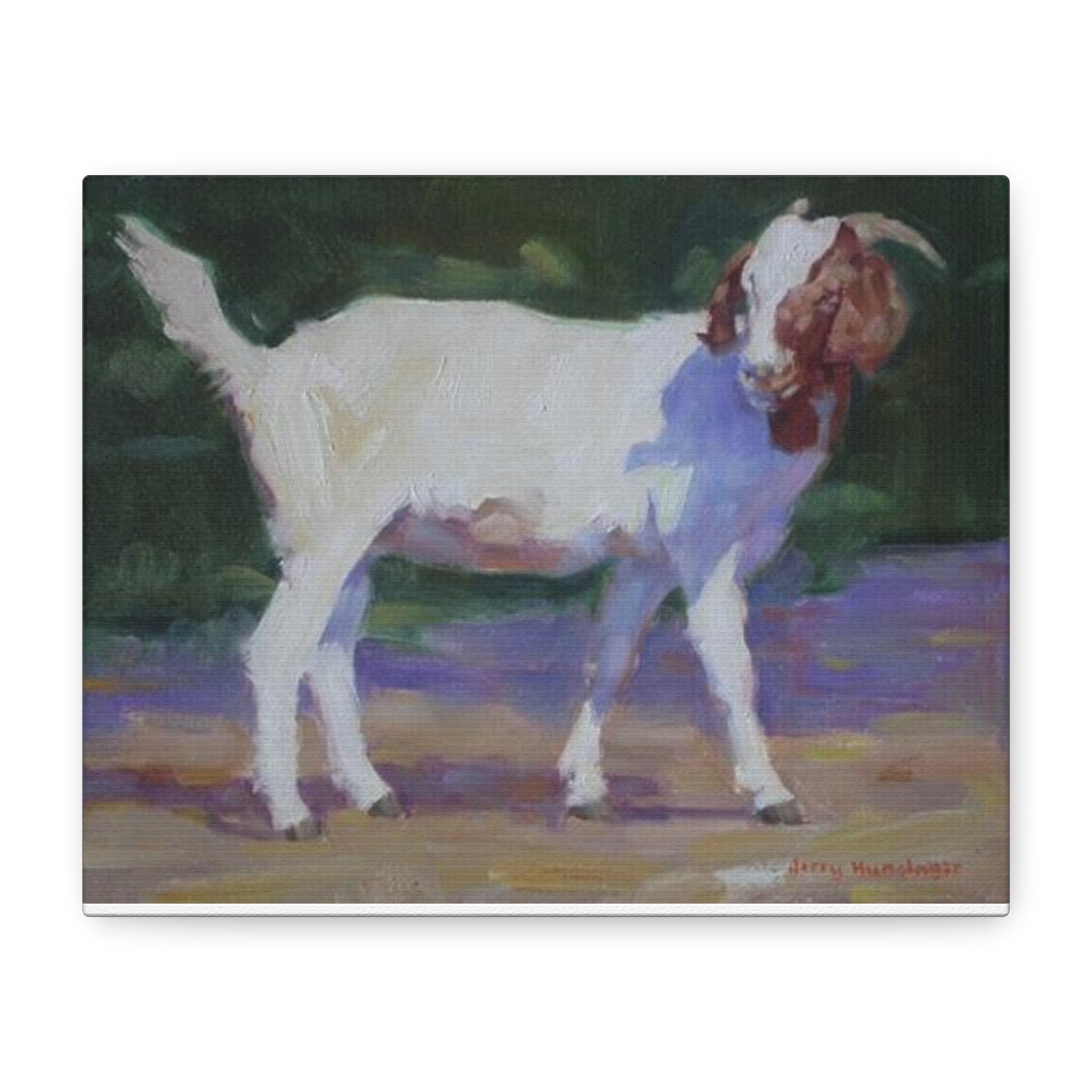"A Goat With Grace"  White Goat Oil Painting Print on Stretched Canvas – Farmhouse Animal Wall Art