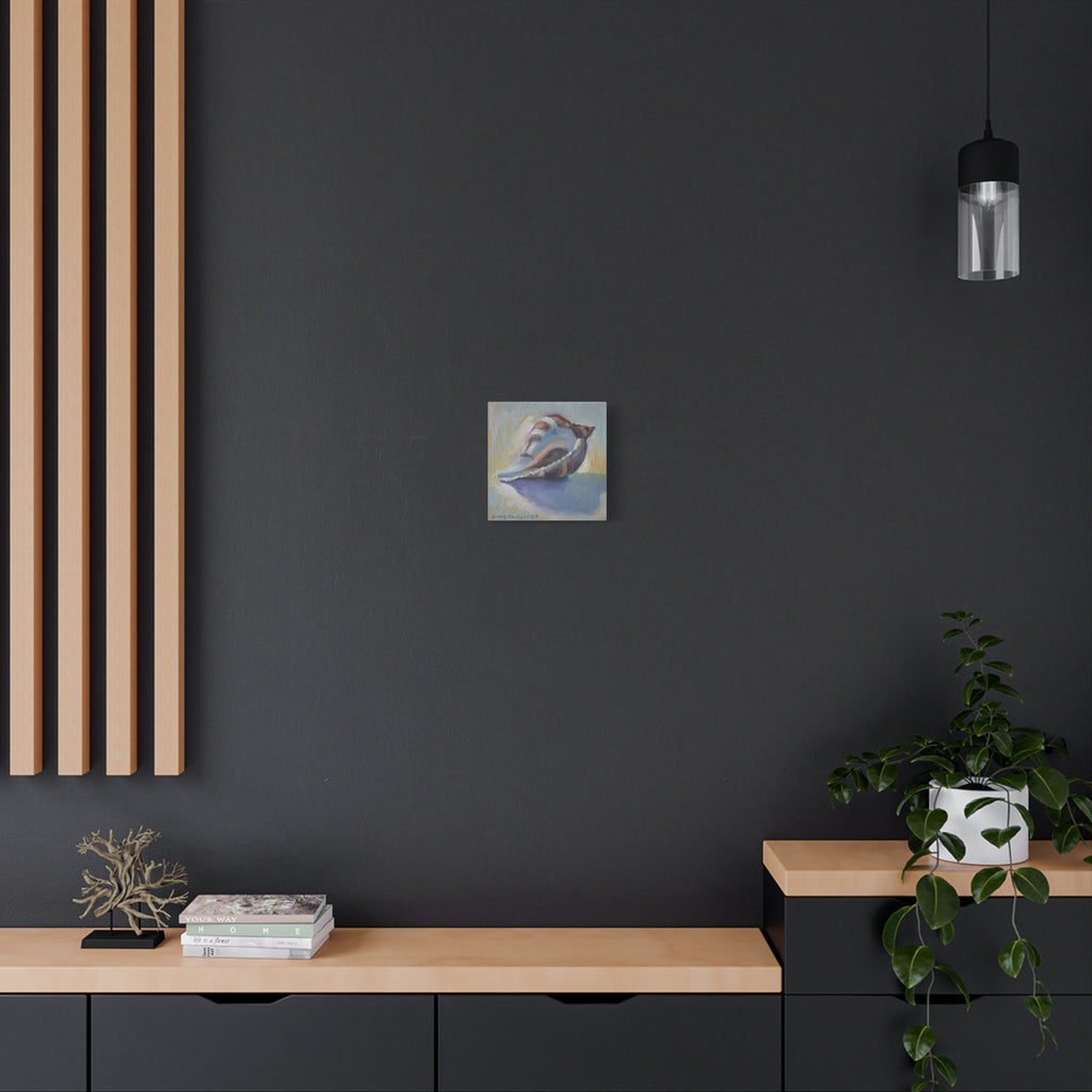 "The Seashell"  Seashell Oil Painting Canvas Print — Coastal Conch Wall Art (Matte Stretched 1.25")