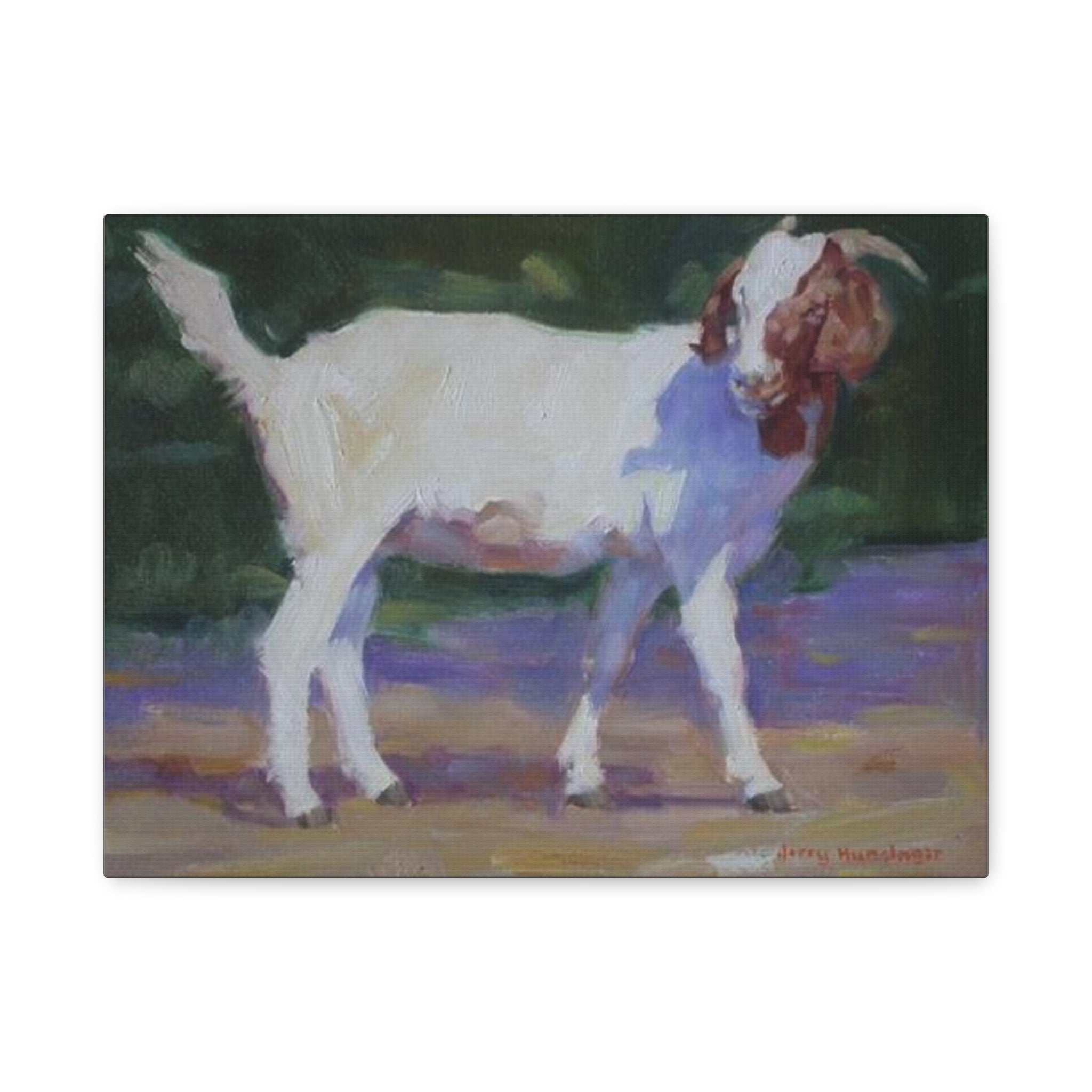 "A Goat With Grace"  White Goat Oil Painting Print on Stretched Canvas – Farmhouse Animal Wall Art