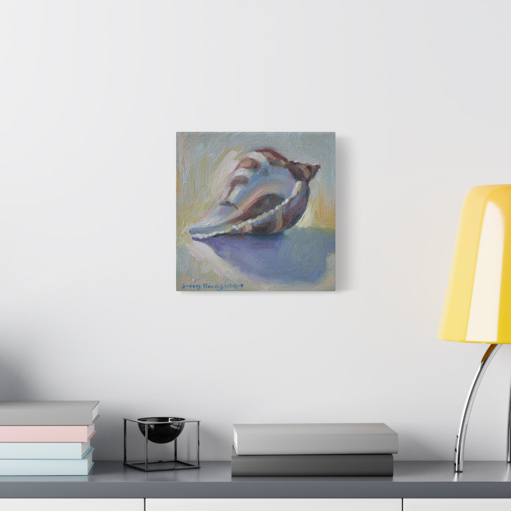 "The Seashell"  Seashell Oil Painting Canvas Print — Coastal Conch Wall Art (Matte Stretched 1.25")