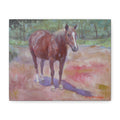 "Afternoon Sun"     Chestnut Horse Matte Canvas Print — Stretched 1.25" Wall Art