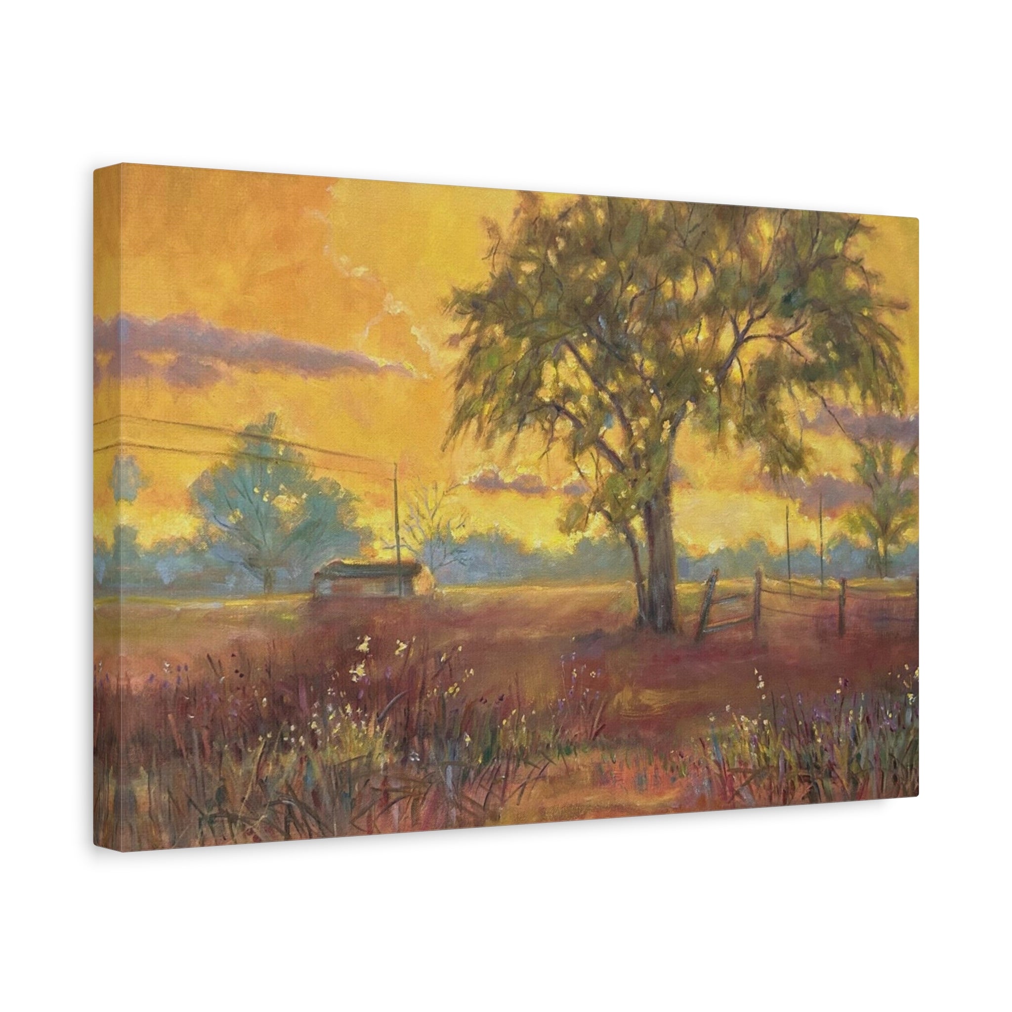 "One Golden Evening"   Sunlit Country Landscape Canvas Print — Stretched Matte Wall Art
