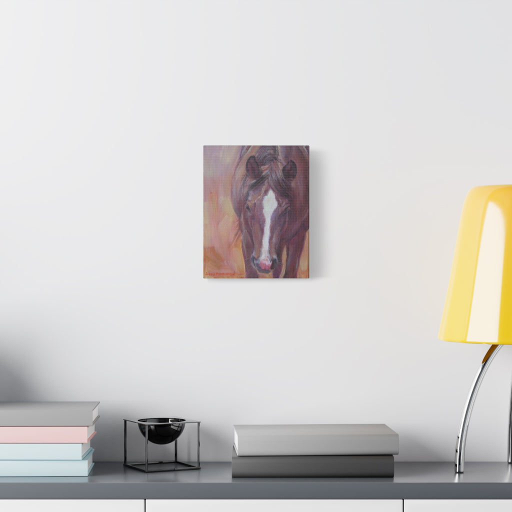 A Horse Named Daisy