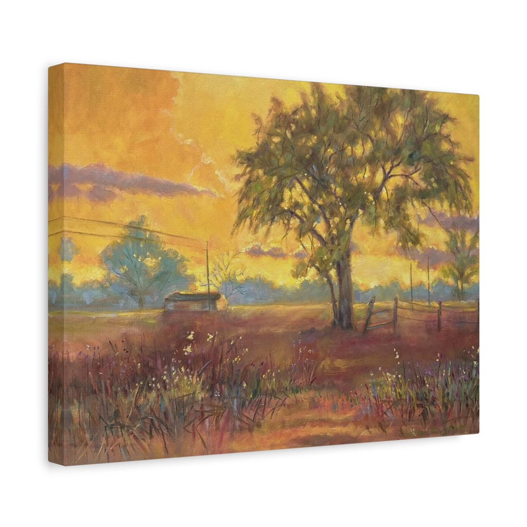 "One Golden Evening"   Sunlit Country Landscape Canvas Print — Stretched Matte Wall Art