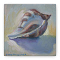 "The Seashell"  Seashell Oil Painting Canvas Print — Coastal Conch Wall Art (Matte Stretched 1.25")