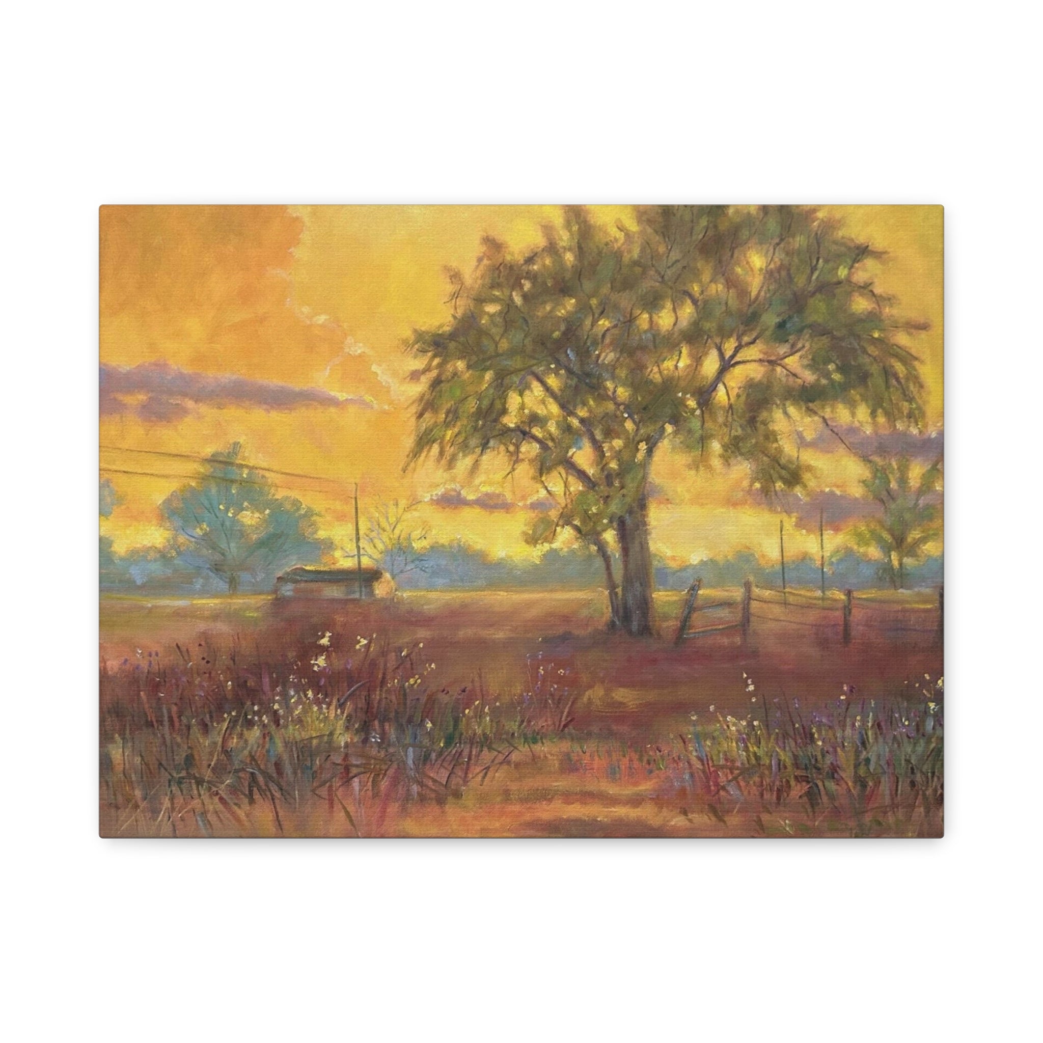 "One Golden Evening"   Sunlit Country Landscape Canvas Print — Stretched Matte Wall Art
