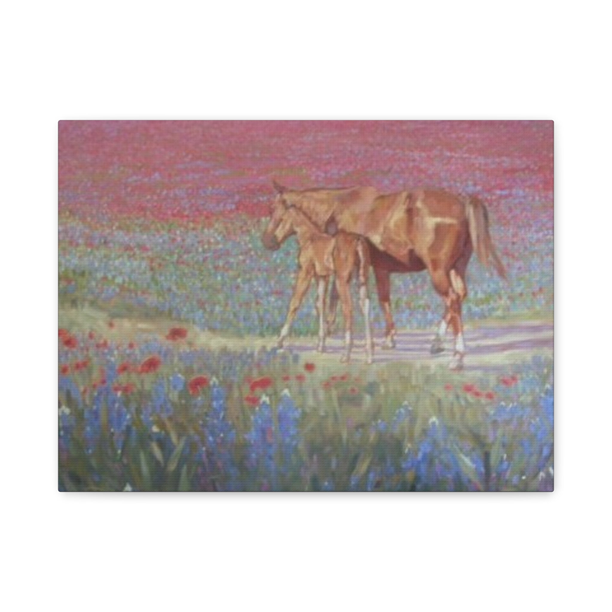 "Red Horses and Blue Bonnets"