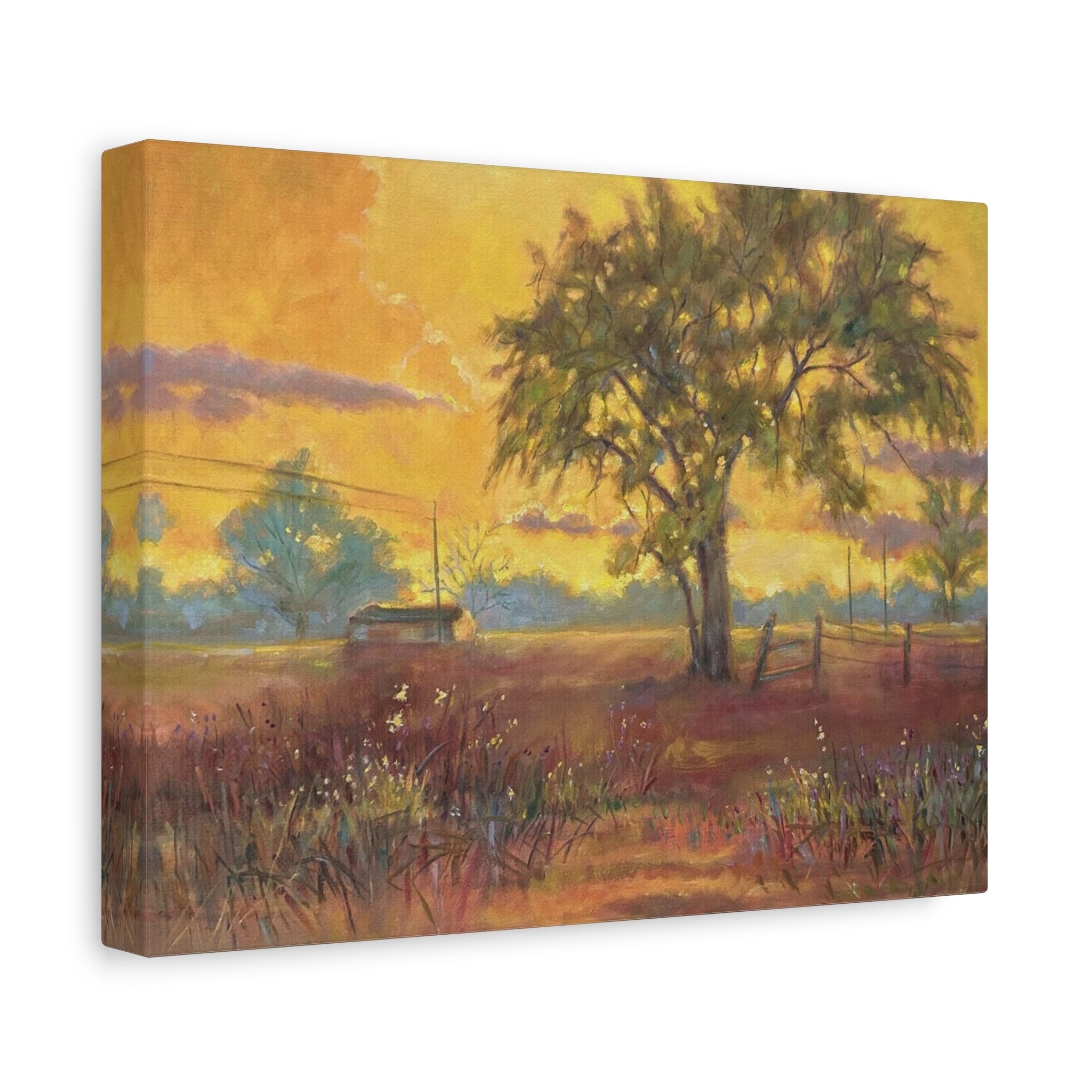 "One Golden Evening"   Sunlit Country Landscape Canvas Print — Stretched Matte Wall Art