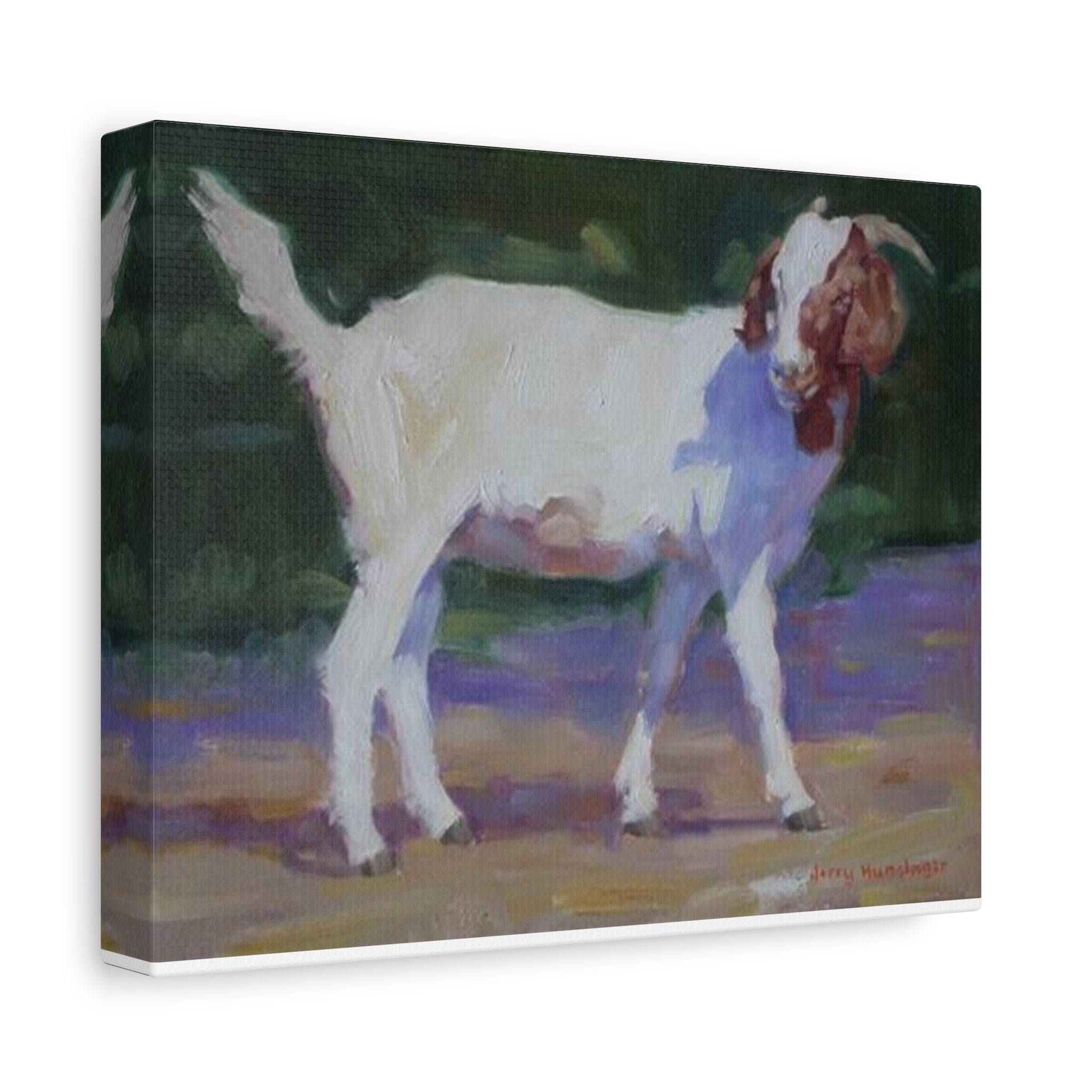 "A Goat With Grace"  White Goat Oil Painting Print on Stretched Canvas – Farmhouse Animal Wall Art