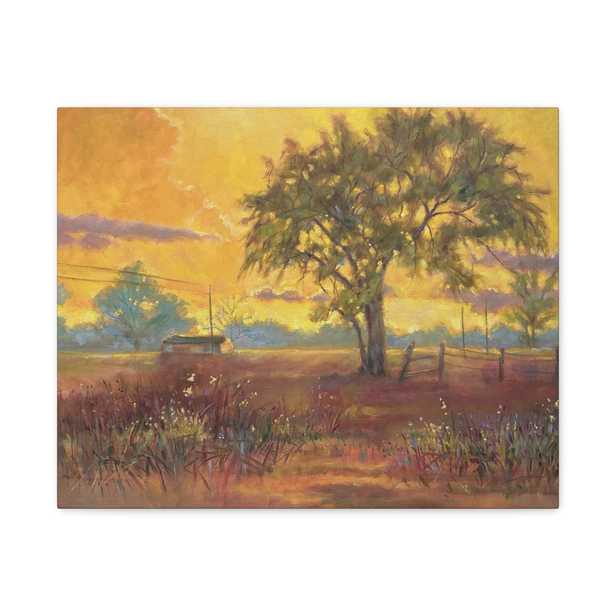 "One Golden Evening"   Sunlit Country Landscape Canvas Print — Stretched Matte Wall Art